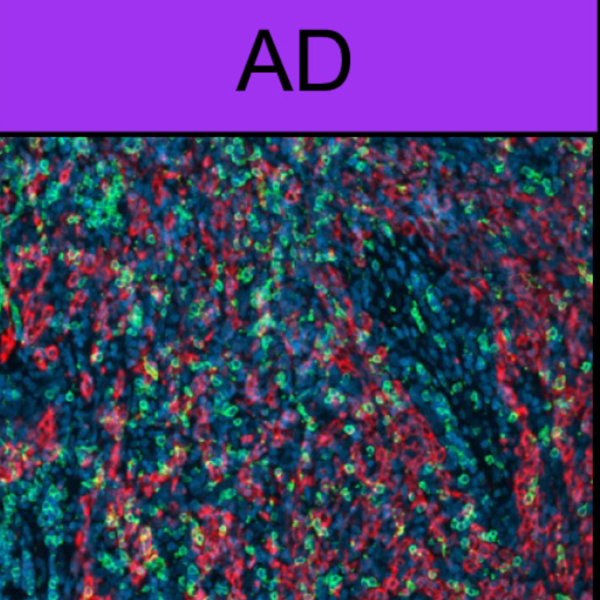 selected publication image 2