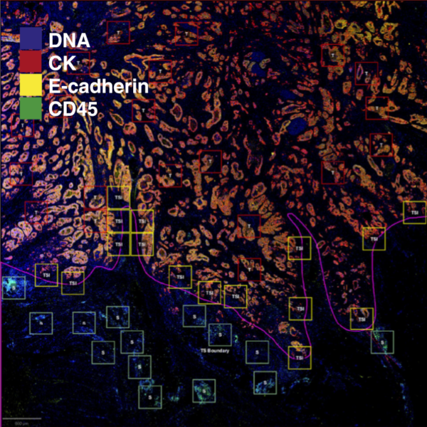 selected publication image 1